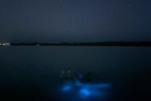Aventure nocturne ULTIME en bioluminescence avec Brandon