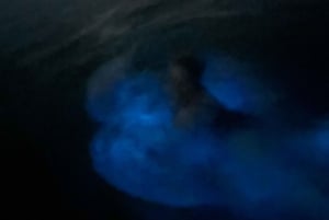 Aventure nocturne ULTIME en bioluminescence avec Brandon