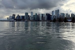 Aquarium & StanleyPark+20 Gem Spots+City/Vip Car+Small Group