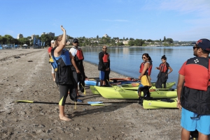 3 Hour Kayak in Vancouver with Coffee on the Beach