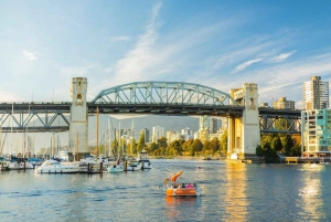 3hr Private Sightseeing Tour-Vancouver City (fr YVR/Cruise)