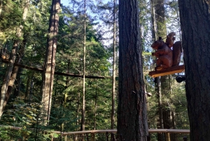 4Tour:Capilano Suspension Br/CAR/Small GROUP+Lake+Dam+Hacher