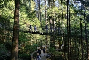 4Tour:Capilano Suspension Br/CAR/Small GROUP+Lake+Dam+Hacher