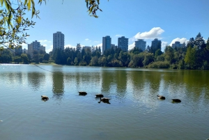 4TOUR COMBO LUX CAR:STANLEY PARK/CAPILANO LAKE/DAM/HATCHERY