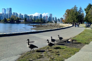 4TOUR COMBO LUX CAR:STANLEY PARK/CAPILANO LAKE/DAM/HATCHERY