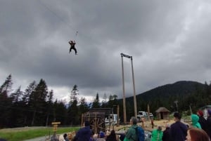 Capilano Br+Grouse Mtn+Dam+Lake&Hatcher/5in1/Kleine Gruppe/Auto