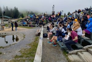 Capilano Br+Grouse Mtn+Dam+Lake&Hatcher/5in1/Kleine Gruppe/Auto
