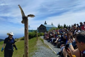 Capilano Br+Grouse Mtn+Dam+Lake&Hatcher/5in1/Kleine Gruppe/Auto