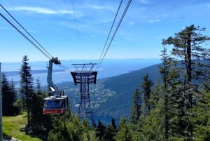 Capilano Br+Grouse Mtn+Dam+Lake&Hatcher/5in1/Kleine Gruppe/Auto