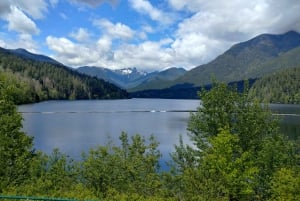 Capilano Br+Grouse Mtn+Dam+Lake&Hatcher/5in1/Kleine Gruppe/Auto