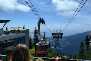 Capilano Br+Grouse Mtn+Dam+Lake&Hatcher/5in1/Kleine Gruppe/Auto