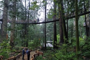 5TOUR+Lux Car+CAPILANO SUS BR+STANLEY PARK+DAM+LAKE+HATCHERY