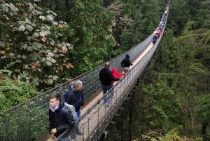 5TOUR+Lux Car+CAPILANO SUS BR+STANLEY PARK+DAM+LAKE+HATCHERY