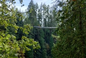 5TOUR+Lux Car+CAPILANO SUS BR+STANLEY PARK+DAM+LAKE+HATCHERY