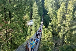 5TOUR+Lux Car+CAPILANO SUS BR+STANLEY PARK+DAM+LAKE+HATCHERY