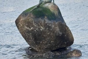 6 tunnin yksityinen kierros Vancouverissa ja Pohjois-Vancouverissa