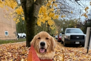 6 tunnin yksityinen kierros Vancouverissa ja Pohjois-Vancouverissa