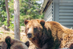 6 hour Private Tour of Vancouver & North Vancouver
