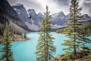 Banff: Discover the Best of the Rockies (8-Days)