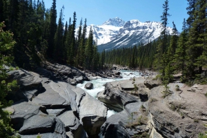 Banff: Explore Banff & Jasper National Parks (5-Days)