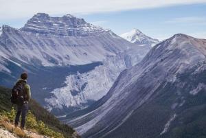 Banff: Explore Banff & Jasper National Parks (5-Days)