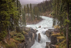 Banff: Explore Banff & Jasper National Parks (5-Days)