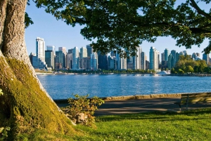 Best of Vancouver: Private Walking Tour with a Local