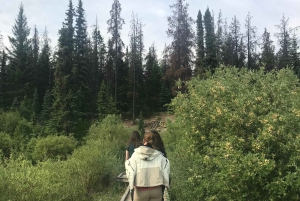 Recorrido de 7 días en camping por los parques nacionales de Canadá desde Seattle