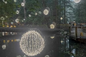 CANYON FRIGHTS+Capilano Suspension Bridge/Small Group/CAR