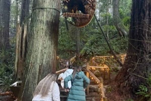 CANYON FRIGHTS+Capilano Suspension Bridge/Small Group/CAR