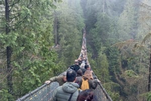 CANYON FRIGHTS+Capilano Suspension Bridge/Small Group/CAR