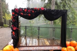 CANYON FRIGHTS+Capilano Suspension Bridge/Small Group/CAR