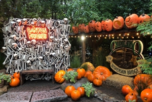 CANYON FRIGHTS+Capilano Suspension Bridge/Small Group/CAR