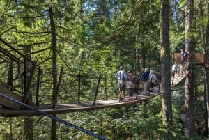 Capilano Br + Granville Isl + Capilano Hatchery + Lynn Canyon -kierros