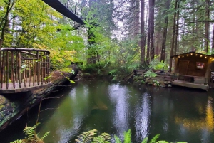 Excursão Capilano Br + Granville Isl + Capilano Hatchery + Lynn Canyon