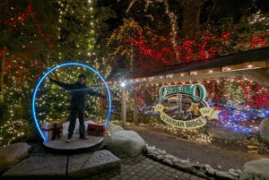 Excursão Capilano Br + Granville Isl + Capilano Hatchery + Lynn Canyon