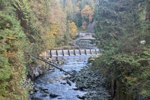 Capilano Br+Grouse Mtn+Dam+Lake&Hatcher/5in1/Kleine Gruppe/Auto