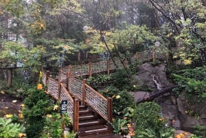 Capilano Br+Grouse Mtn+Dam+Lake&Hatcher/5in1/Kleine Gruppe/Auto