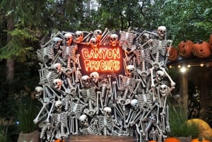 Capilano Br+Grouse Mtn+Dam+Lake&Hatcher/5in1/Kleine Gruppe/Auto