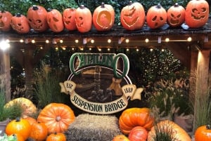 Capilano Br+Grouse Mtn+Dam+Lake&Hatcher/5in1/Kleine Gruppe/Auto