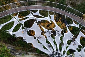 キャピラノ橋＋グラウス山＋スタンレー公園＋ダム＋湖＋孵化場／車／9ヶ所