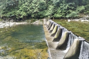 キャピラノ橋＋グラウス山＋スタンレー公園＋ダム＋湖＋孵化場／車／9ヶ所