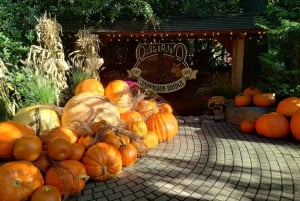 キャピラノ橋＋グラウス山＋スタンレー公園＋ダム＋湖＋孵化場／車／9ヶ所