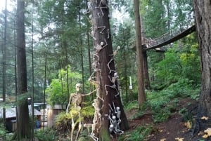 キャピラノ橋＋グラウス山＋スタンレー公園＋ダム＋湖＋孵化場／車／9ヶ所