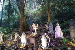 キャピラノ橋＋グラウス山＋スタンレー公園＋ダム＋湖＋孵化場／車／9ヶ所