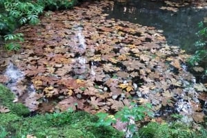 キャピラノ橋＋グラウス山＋スタンレー公園＋ダム＋湖＋孵化場／車／9ヶ所