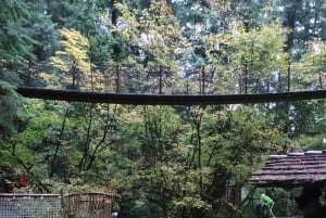 キャピラノ橋＋グラウス山＋スタンレー公園＋ダム＋湖＋孵化場／車／9ヶ所