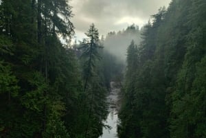 キャピラノ橋＋グラウス山＋スタンレー公園＋ダム＋湖＋孵化場／車／9ヶ所