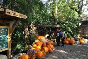 キャピラノ橋＋グラウス山＋スタンレー公園＋ダム＋湖＋孵化場／車／9ヶ所