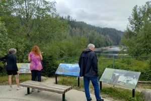 キャピラノ橋＋グラウス山＋スタンレー公園＋ダム＋湖＋孵化場／車／9ヶ所